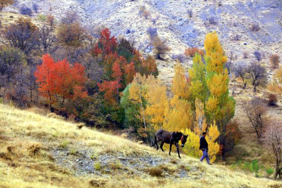 Bediüzzaman'ın ilçesinde fotosafari heyecanı 3