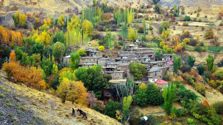 Bediüzzaman'ın ilçesinde fotosafari heyecanı 7