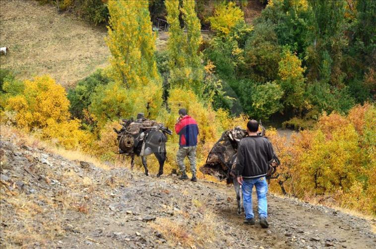 Bediüzzaman'ın ilçesinde fotosafari heyecanı 8