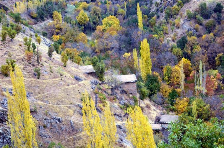 Bediüzzaman'ın ilçesinde fotosafari heyecanı 9