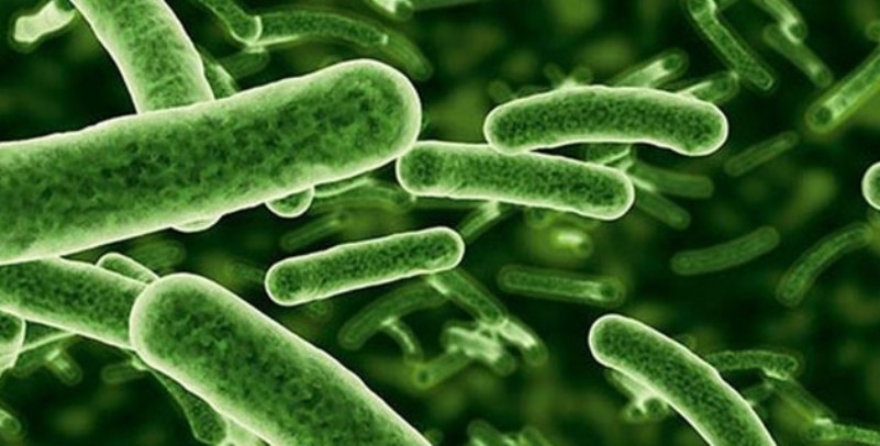 Abdestin tıbben ispatlanmış 18 faydası 12