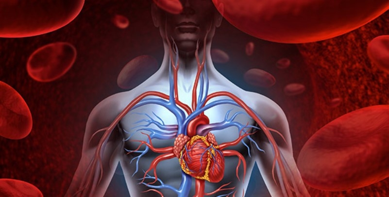 Abdestin tıbben ispatlanmış 18 faydası 16