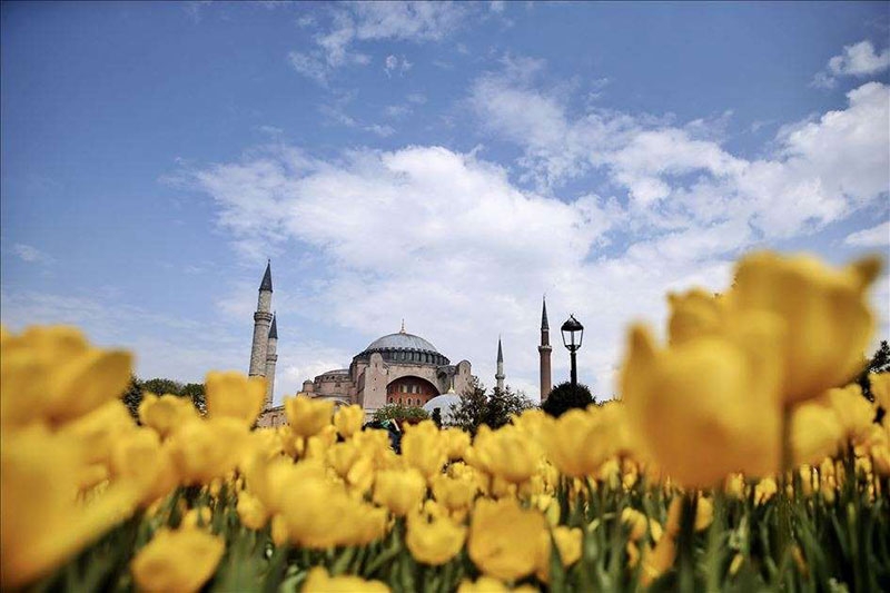 Ayasofya Cami ve laleler 6