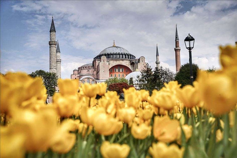 Ayasofya Cami ve laleler 8