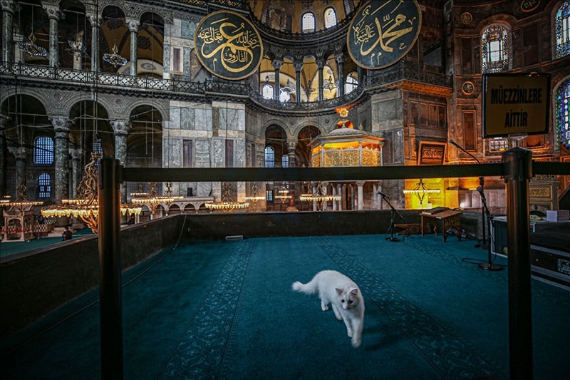 Ayasofya-i Kebir Camii Şerifi'nde cuma namazı 19