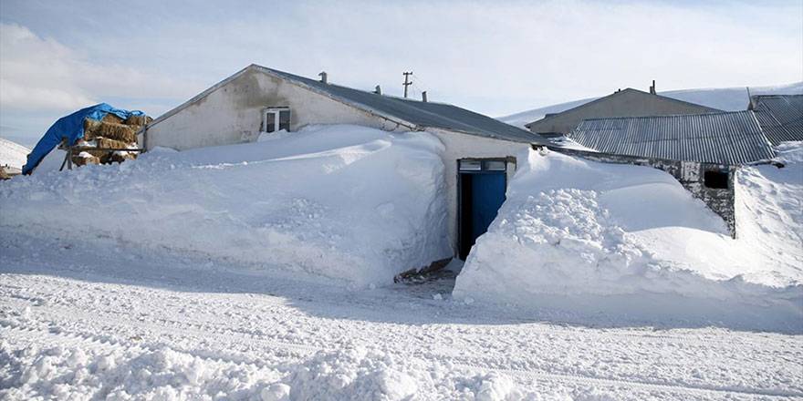 Burası Erzurum: Kar çatıya dayandı, evden tünelle çıkıyorlar