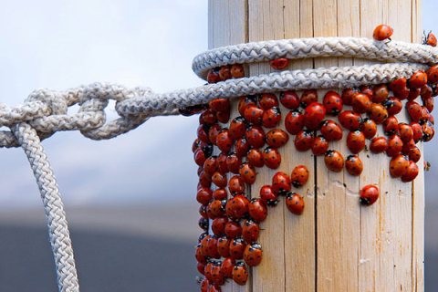 Sukûnetin fotoğrafı 14