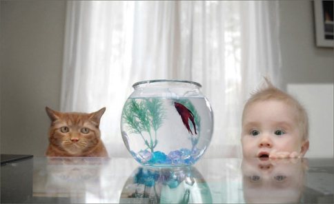 Sukûnetin fotoğrafı 15