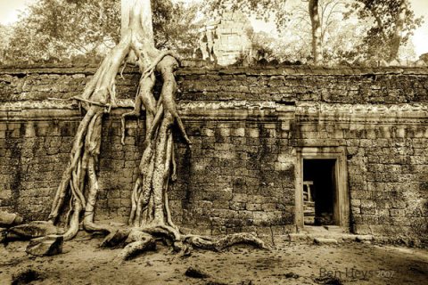 Sukûnetin fotoğrafı 5