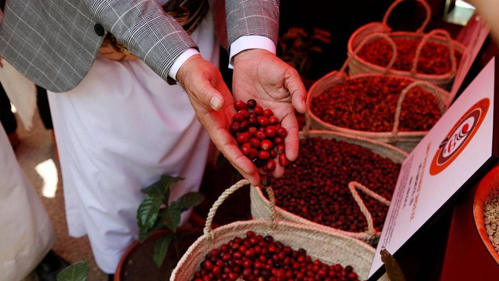Yemen'de kahve festivali 12