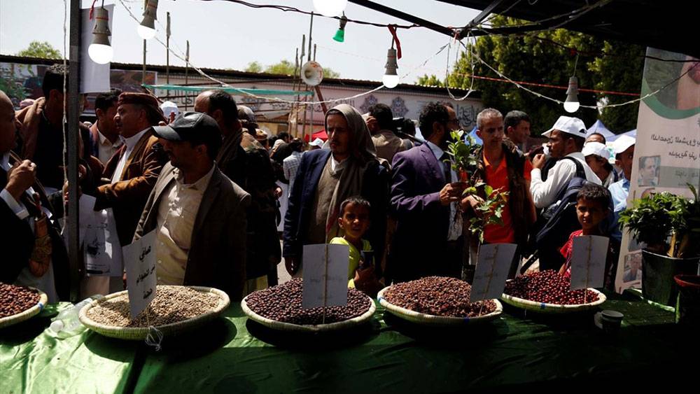 Yemen'de kahve festivali 2