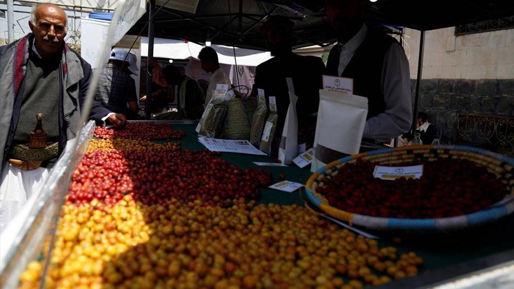 Yemen'de kahve festivali 4