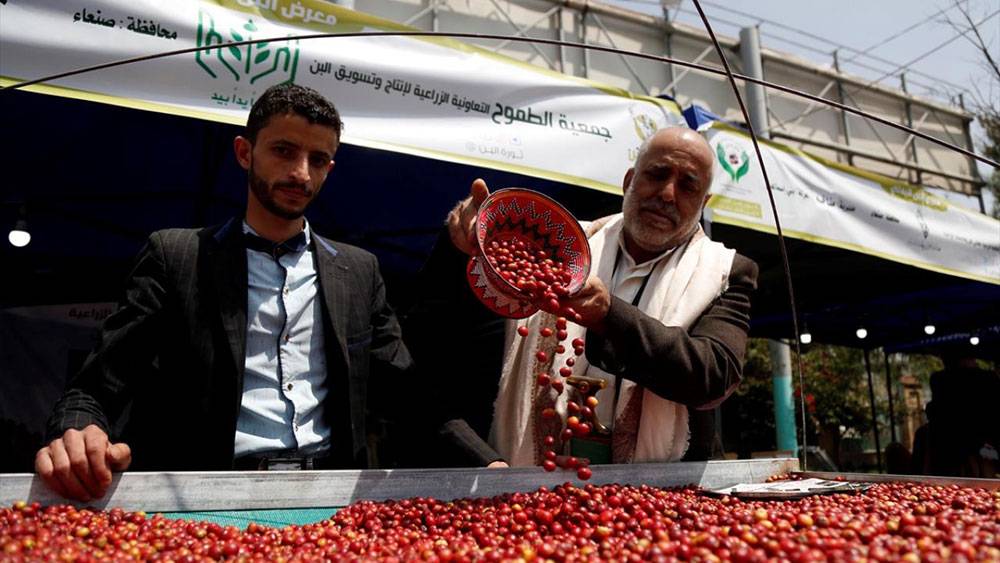 Yemen'de kahve festivali 6