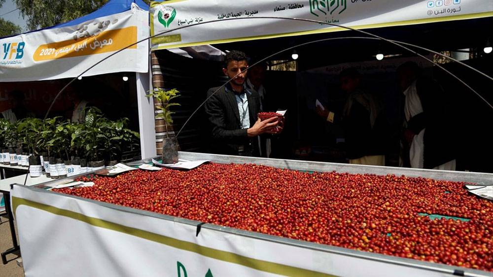 Yemen'de kahve festivali 7