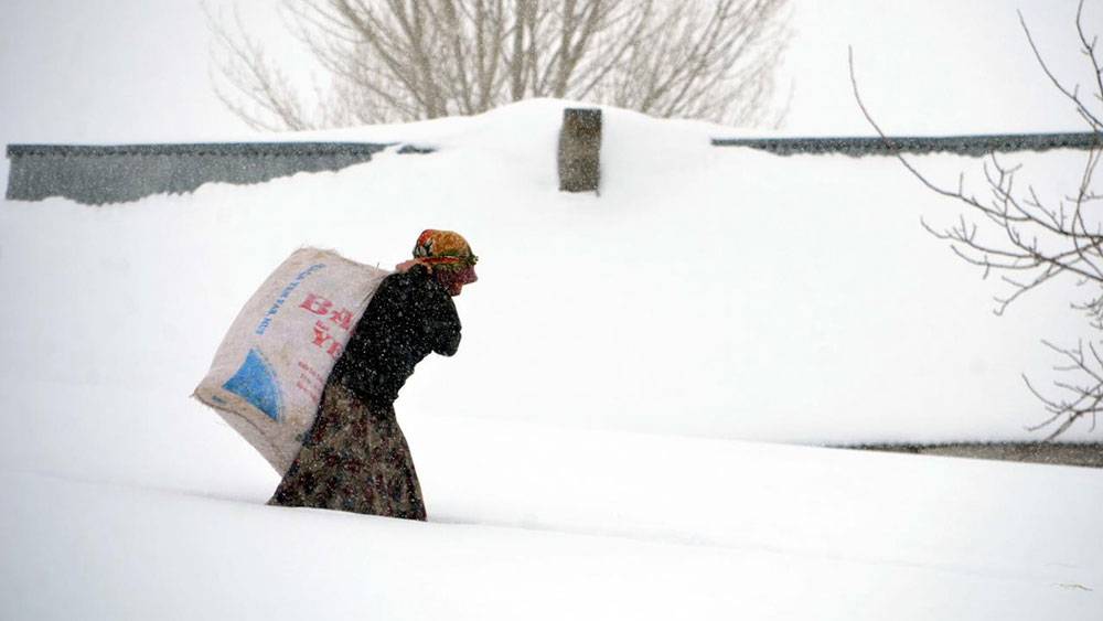 Muş'un köyünde evler, arabalar iki metre yağan karın altında kaldı 10