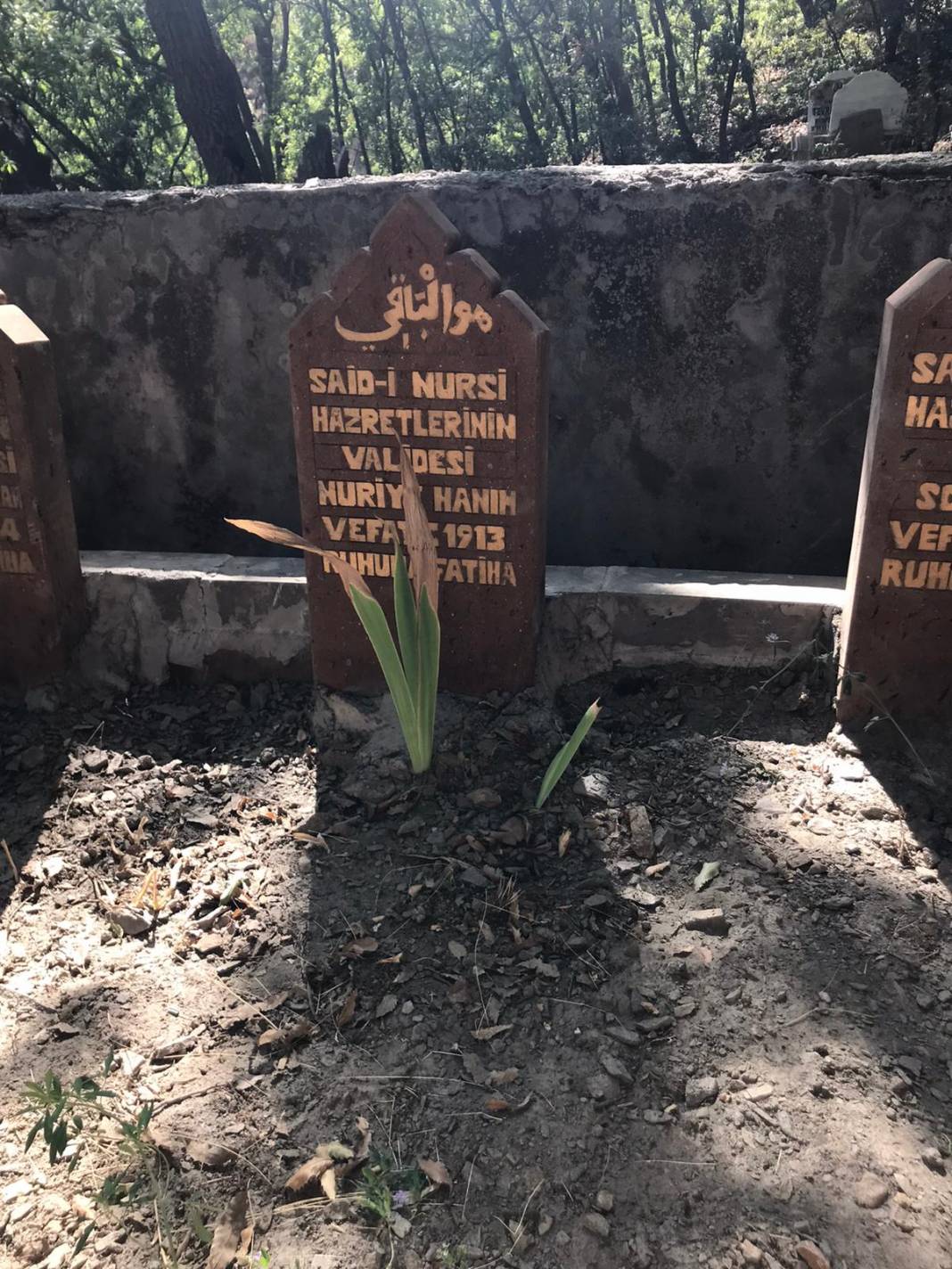 Nurs Bediüzzaman Mevlidi bayram havasında geçti 14