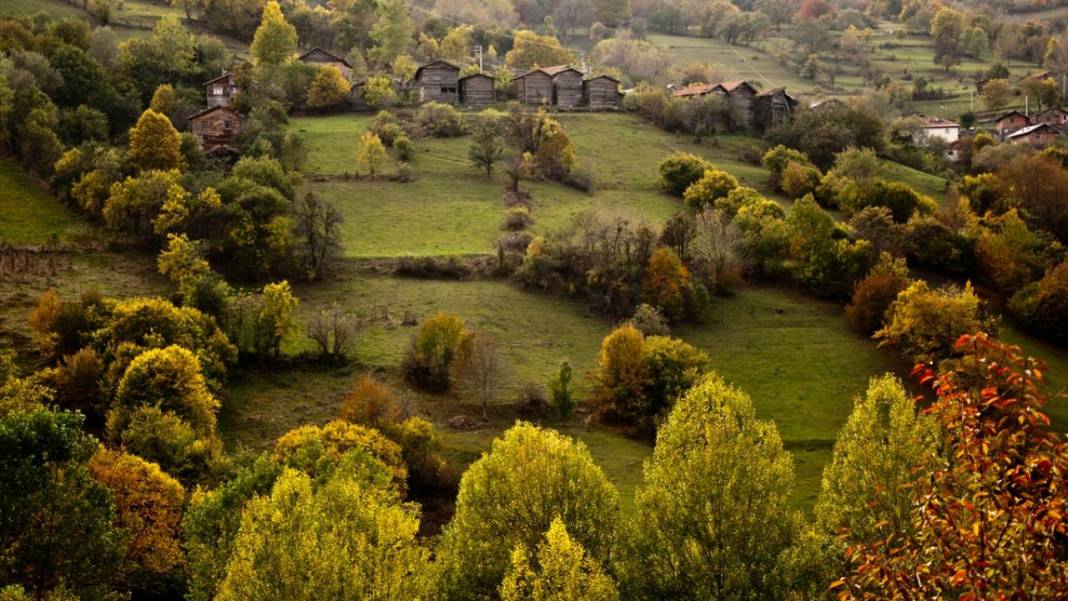 Kastamonu'da Sonbahar bir başka güzel 2