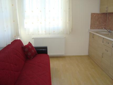 Yeni Asya tesisleri açıldı 19