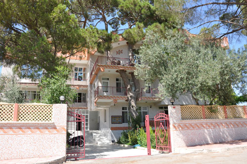 Binayı delip geçen ağaç 1