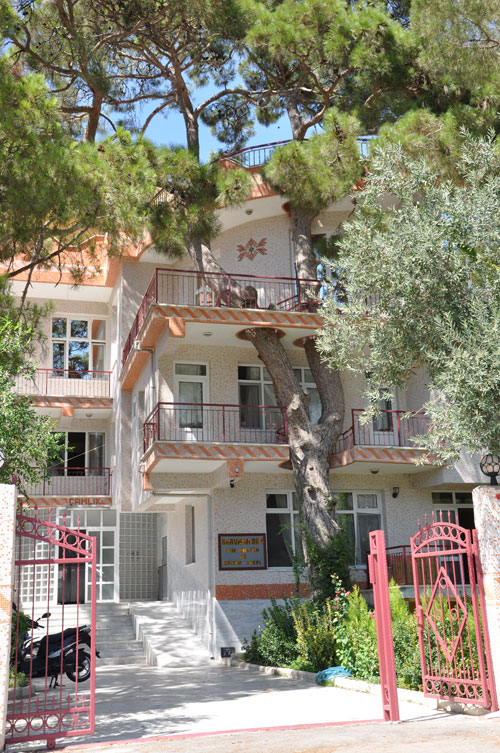 Binayı delip geçen ağaç 5