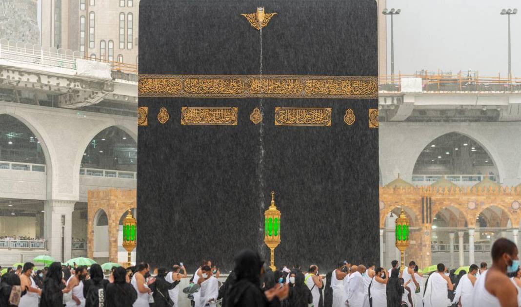 Mekke’de son yağışlardan sonra yeşil manzara 2