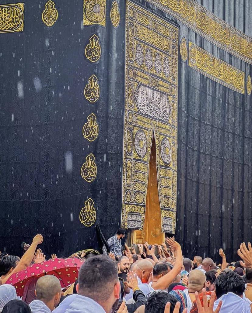 Mekke’de son yağışlardan sonra yeşil manzara 3