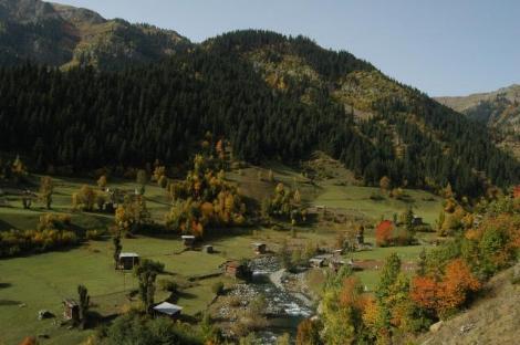 Karadeniz'de Sonbahar Renkleri 1