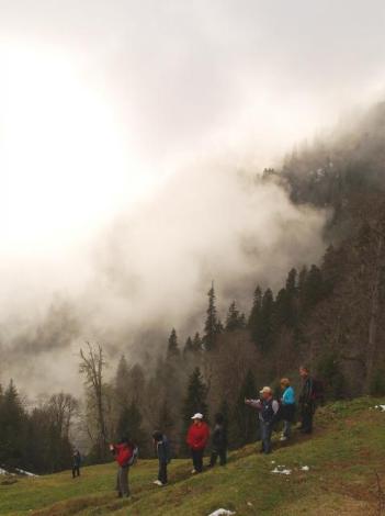 Karadeniz'de Sonbahar Renkleri 11