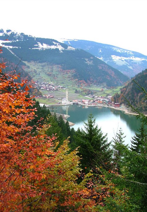 Karadeniz'de Sonbahar Renkleri 18