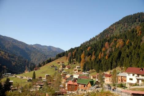 Karadeniz'de Sonbahar Renkleri 6