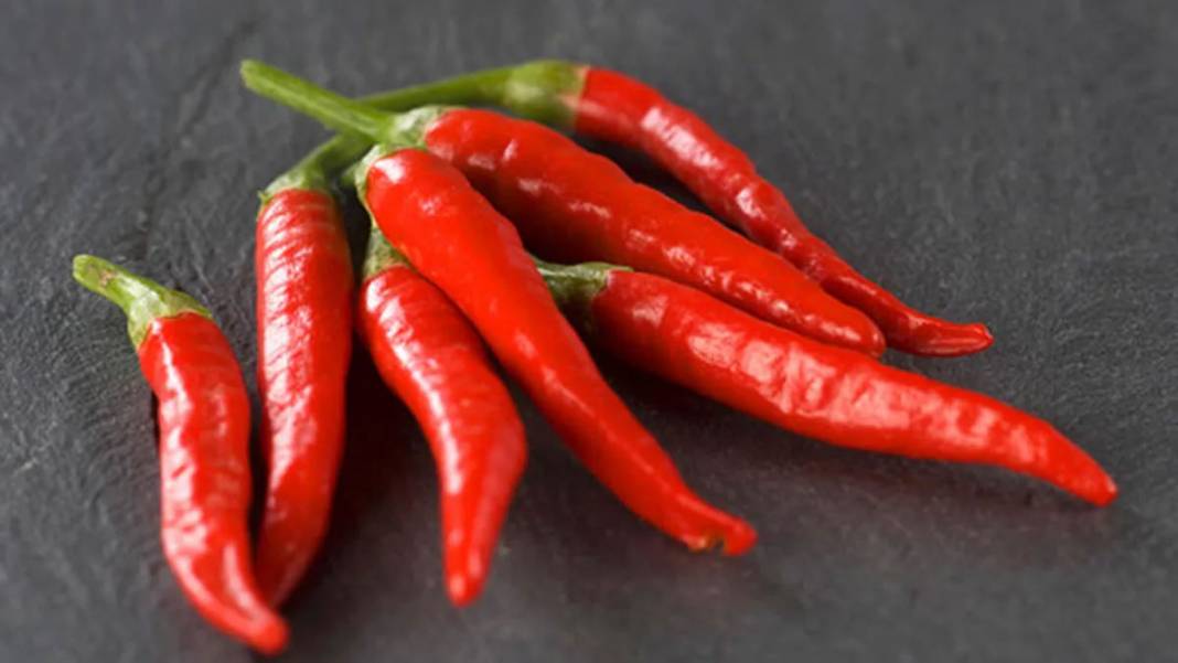 İbn-i Sina'dan 'vücudu tertemiz yapan 10 bitki' tavsiyesi 1