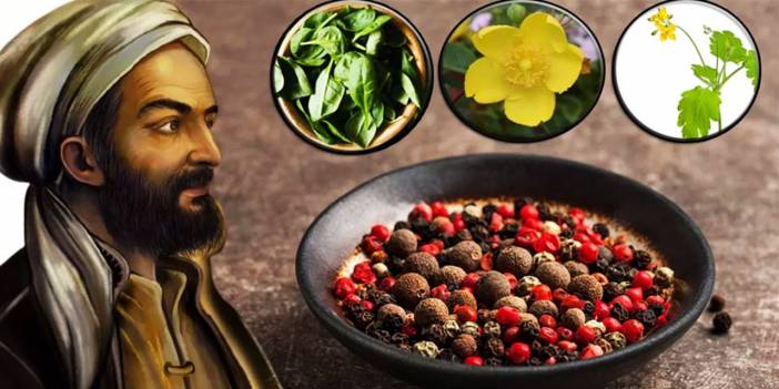 İbn-i Sina'dan 'vücudu tertemiz yapan 10 bitki' tavsiyesi