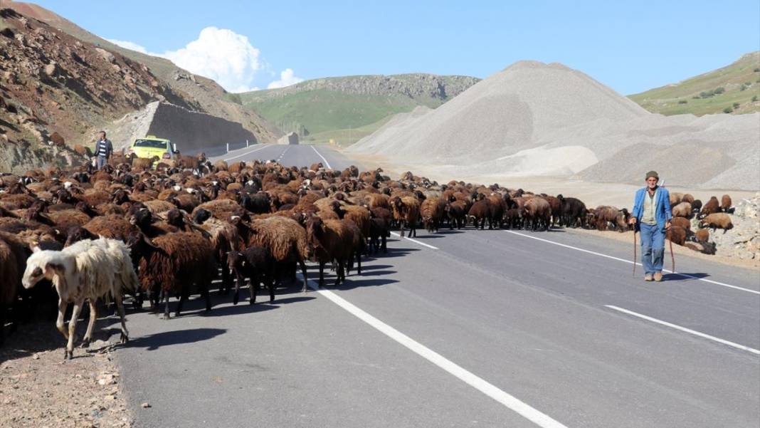 Göçerlerin sürüleriyle yaylalarına zorlu yolculuğu sürüyor 10