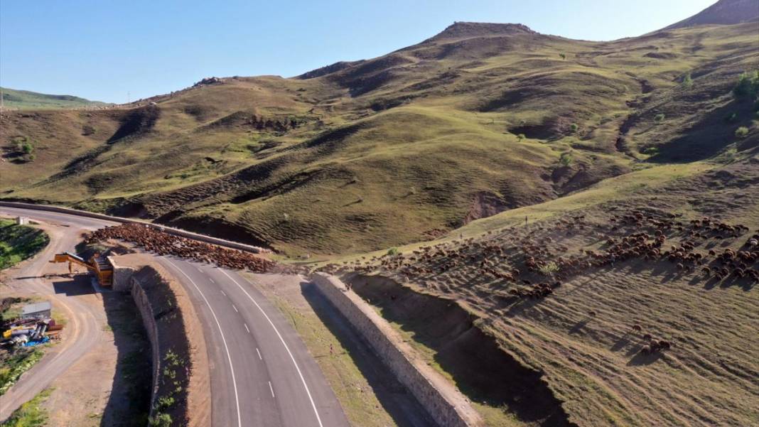 Göçerlerin sürüleriyle yaylalarına zorlu yolculuğu sürüyor 7