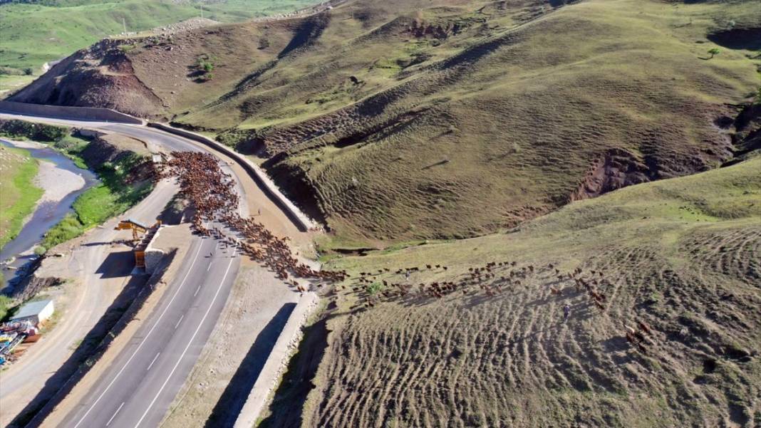 Göçerlerin sürüleriyle yaylalarına zorlu yolculuğu sürüyor 8