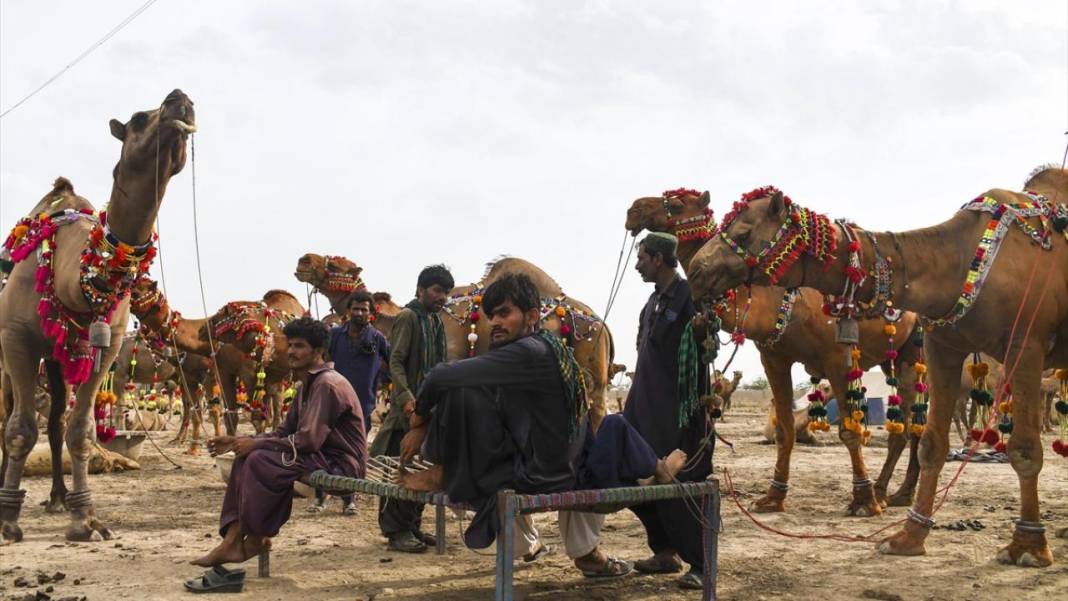 Pakistan Kurban Bayramına böyle hazırlanıyor 13