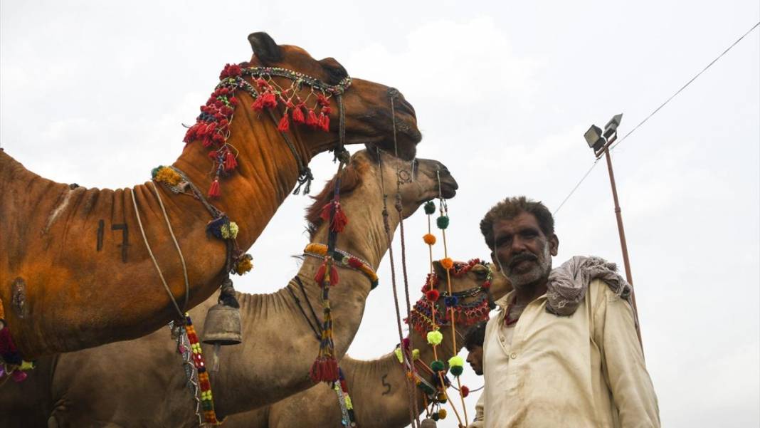 Pakistan Kurban Bayramına böyle hazırlanıyor 2