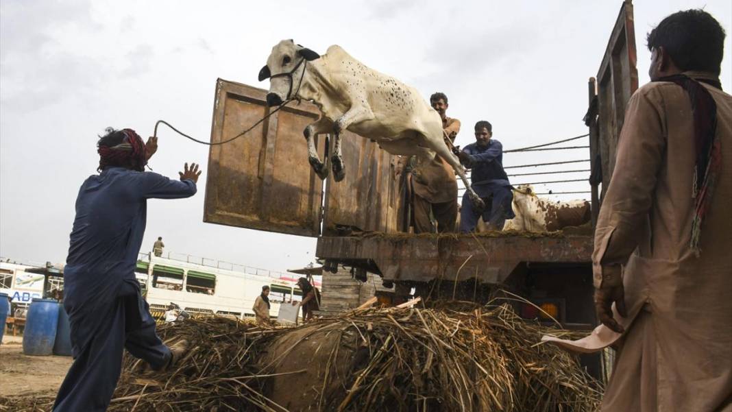 Pakistan Kurban Bayramına böyle hazırlanıyor 8