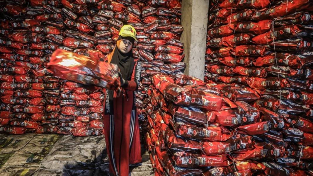 Mısır'da kömür işçilerinin zorlu mesaisi 12