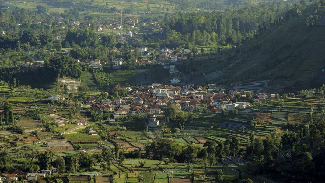 Endonezya'nın teraslı tarlaları 7