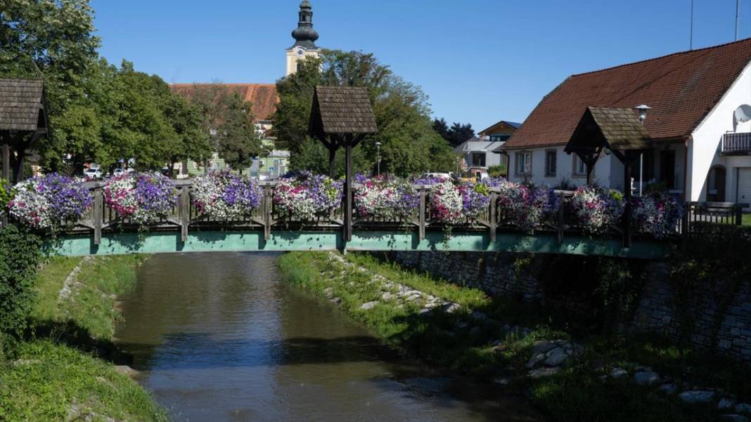 Avusturya'da yemyeşil örnek bir köy 4