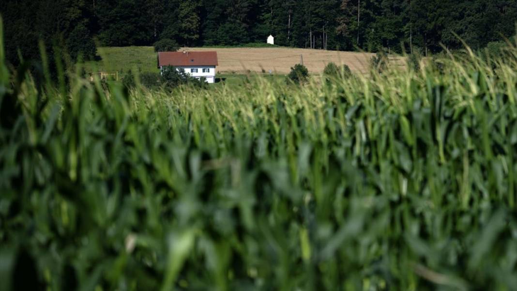 Avusturya'da yemyeşil örnek bir köy 6