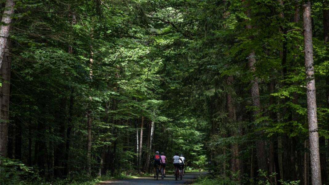Avusturya'da yemyeşil örnek bir köy 7