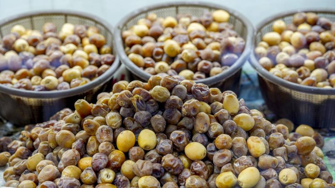 'Petrol yerine mübarek hurma' projesiyle 6 yılda binlerce ağaç dikti 12