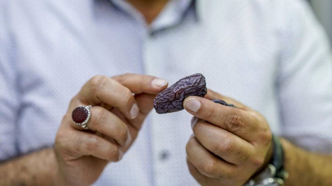 'Petrol yerine mübarek hurma' projesiyle 6 yılda binlerce ağaç dikti 14