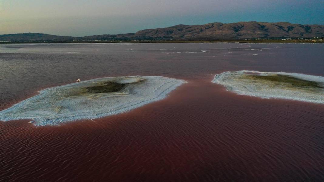Bu görüntüler vücuttaki damar veya kan dolaşımı değil 12