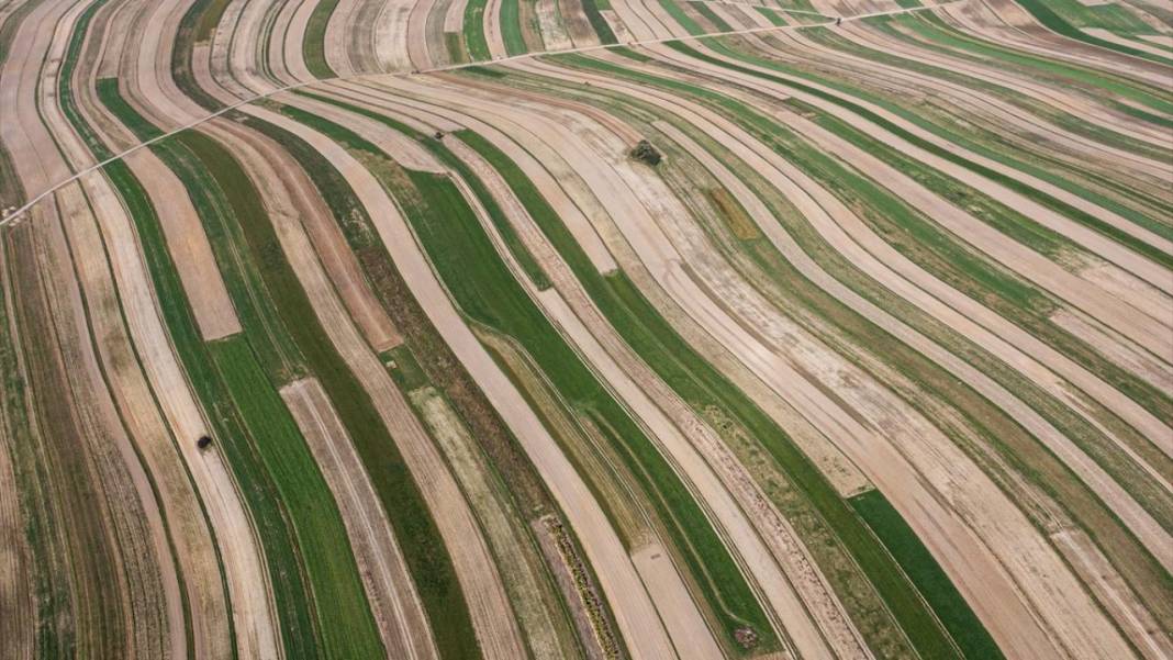 Polonya’nın en 'uzun' köylerinden biri: Suloszowa 4