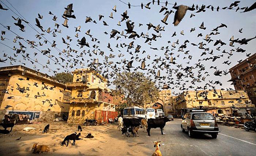 En hareketli kareler 10