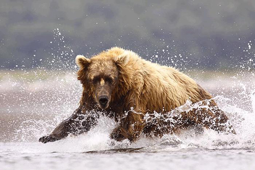 En hareketli kareler 11