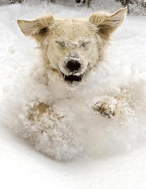 En hareketli kareler 14